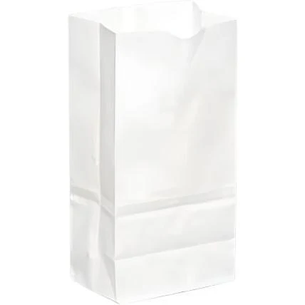 5LB WHITE PAPER BAG - 500BN