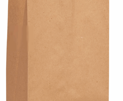 5LB KRAFT PAPER BAGS - 500/CS